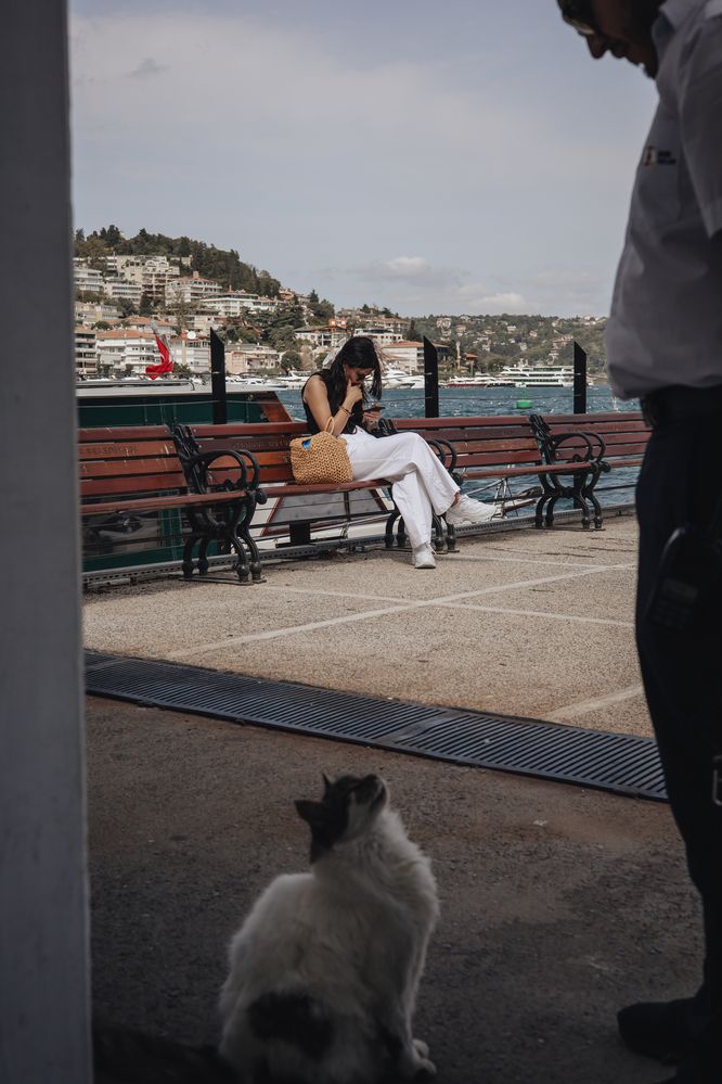 Photograph by Елена Карпова