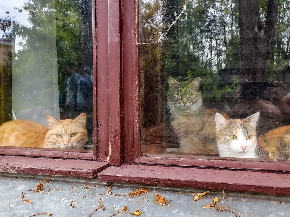 Photograph by Ксения Мельникова