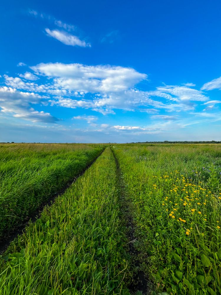 Photograph by Дмитрий Кашицин
