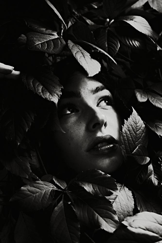 Photograph by Надежда Кучина