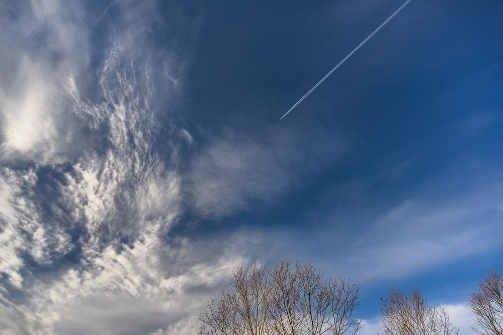 Фотография автора Андрей Ткаченко