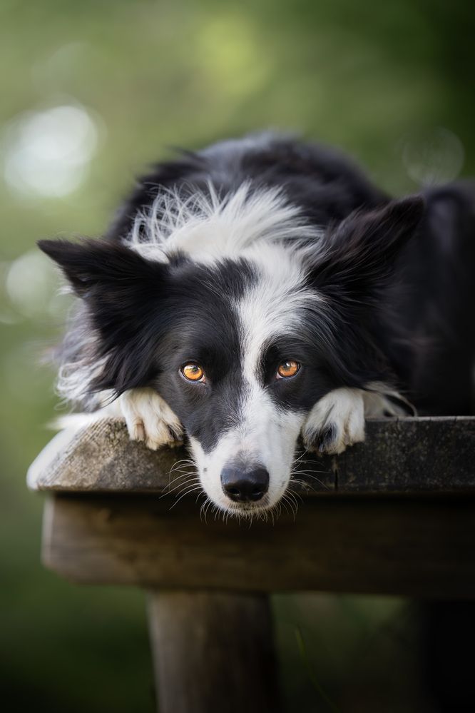 Photograph by ALESSIA ROSSI