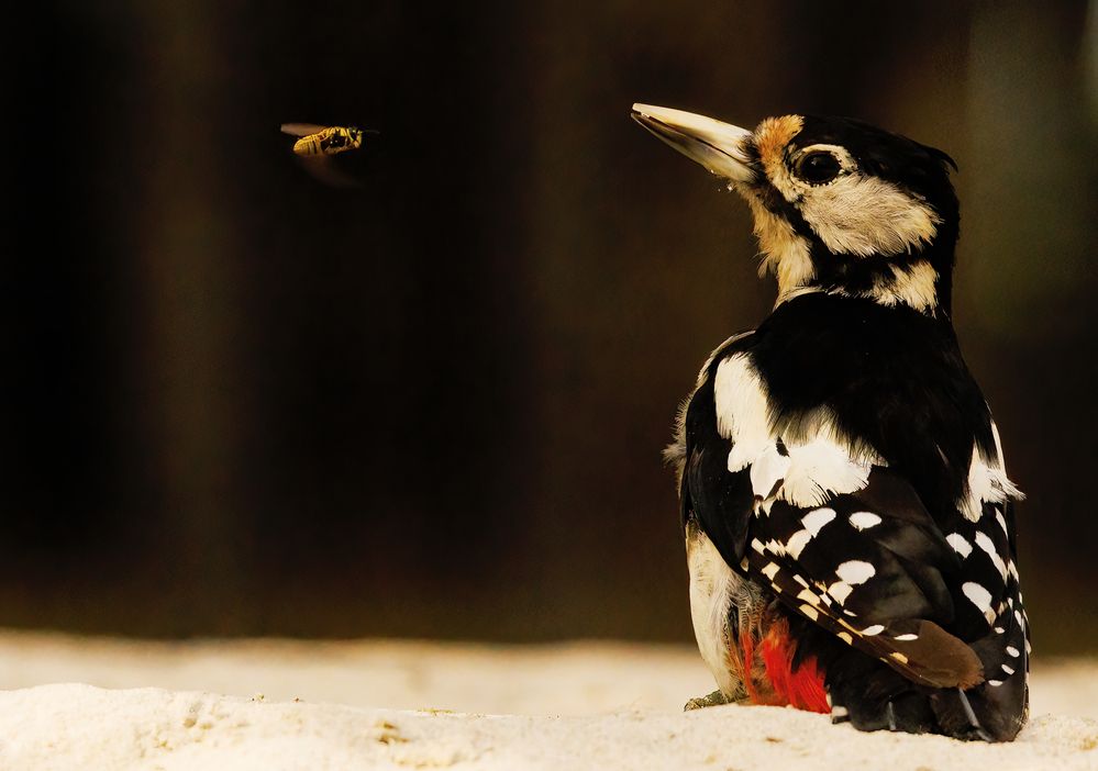 Photograph by Chris Brain