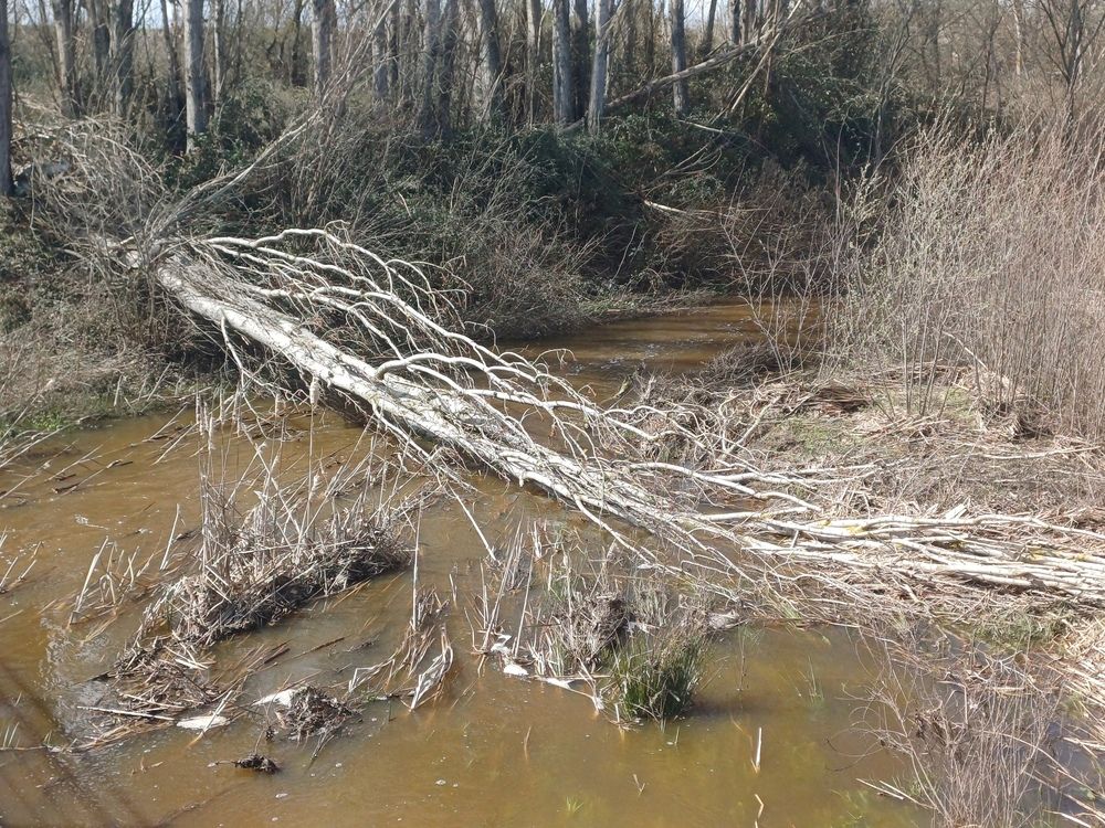 Photograph by Juan jose Sánchez gonzalez