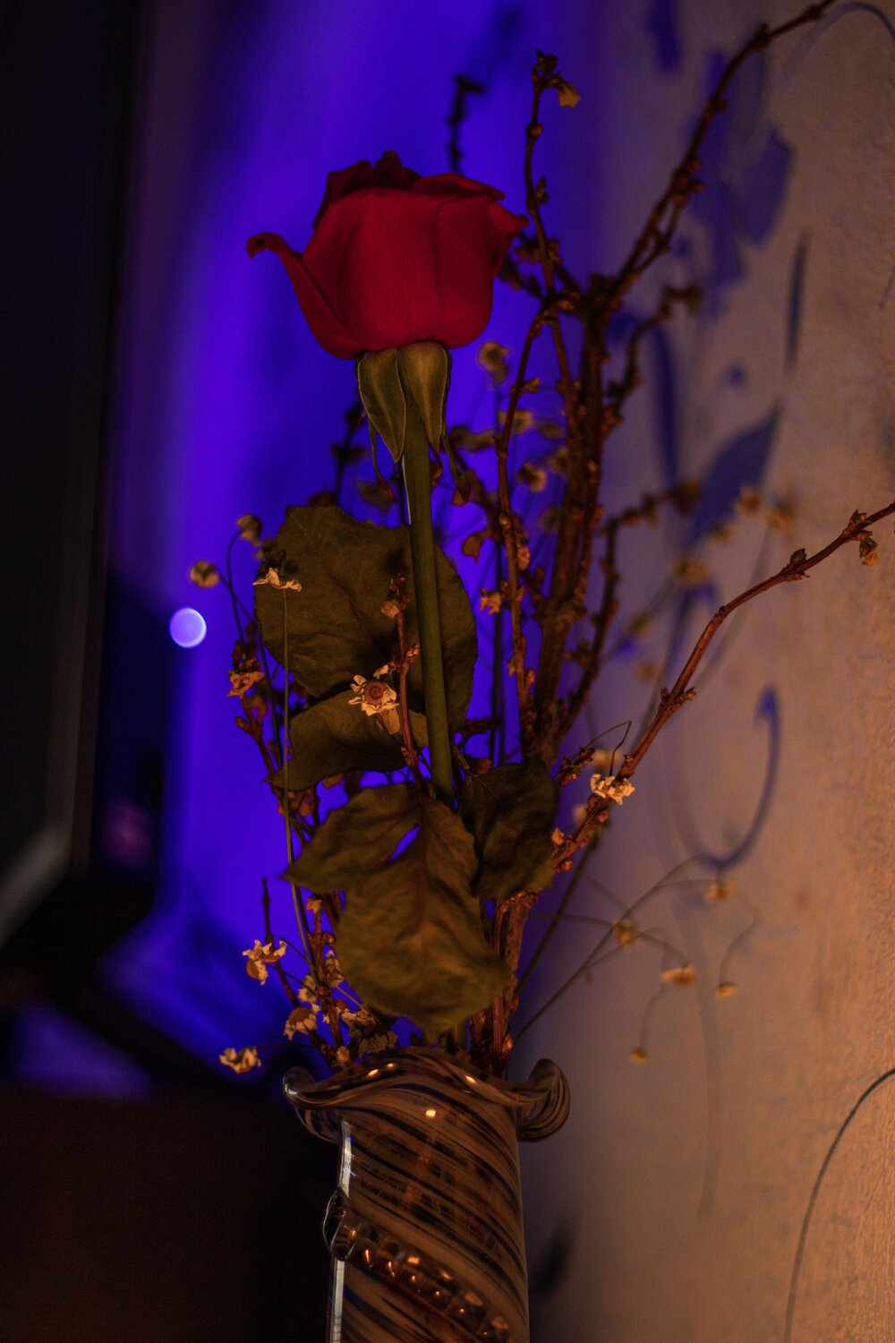 Photo #12530816