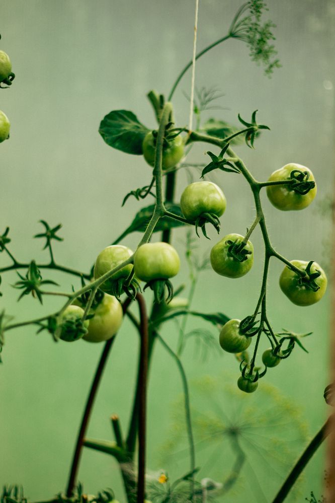 Photograph by Ирина Шилова