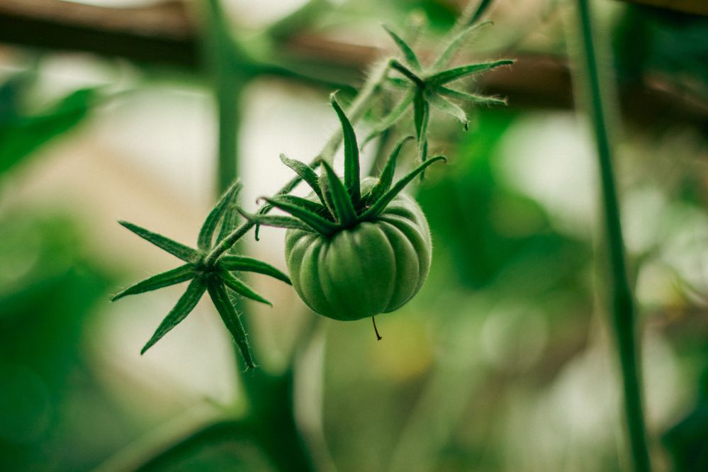 Photograph by Ирина Шилова