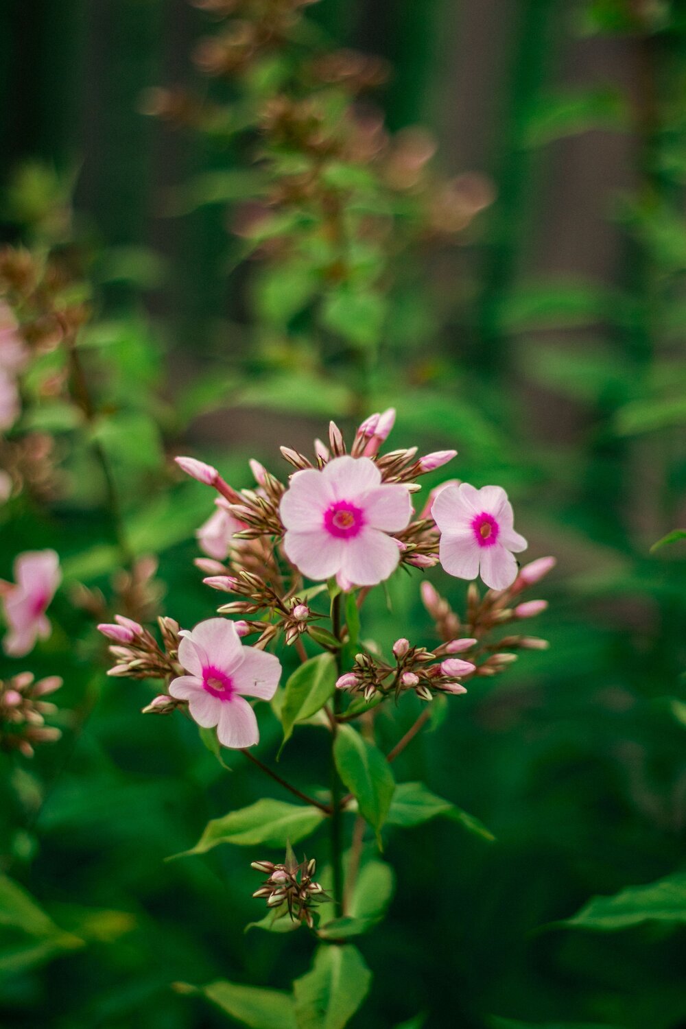 Photo #12530825