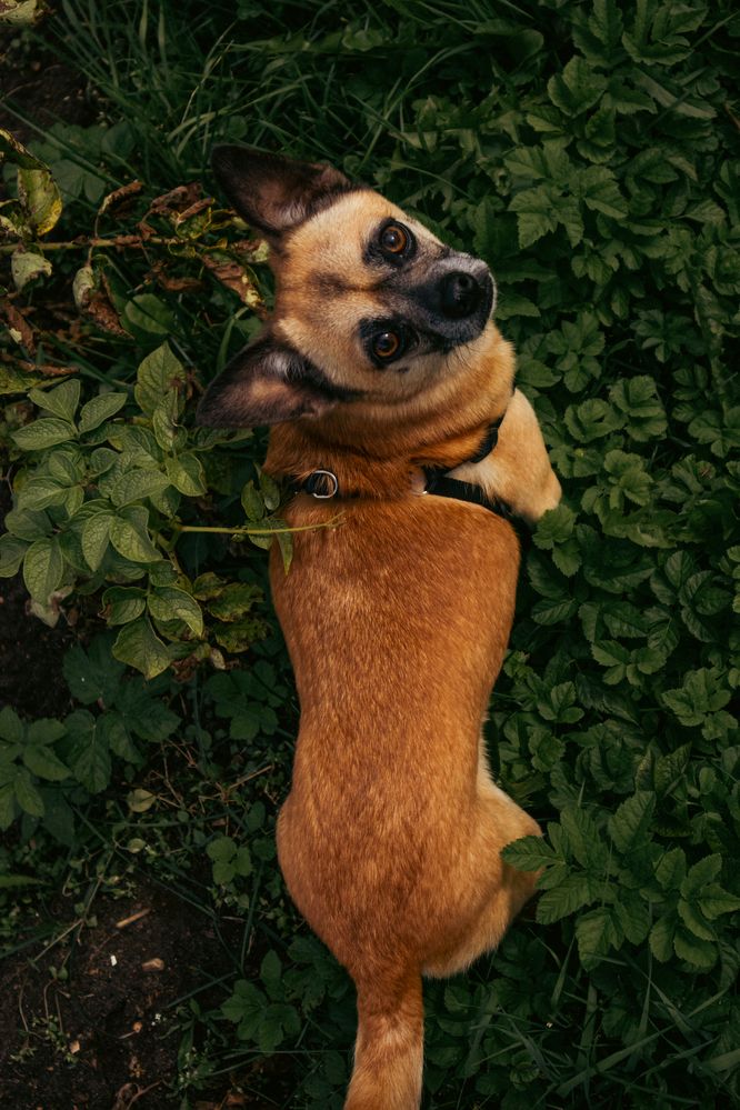 Photograph by Ирина Шилова