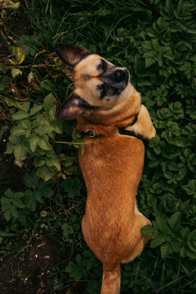 Photograph by Ирина Шилова