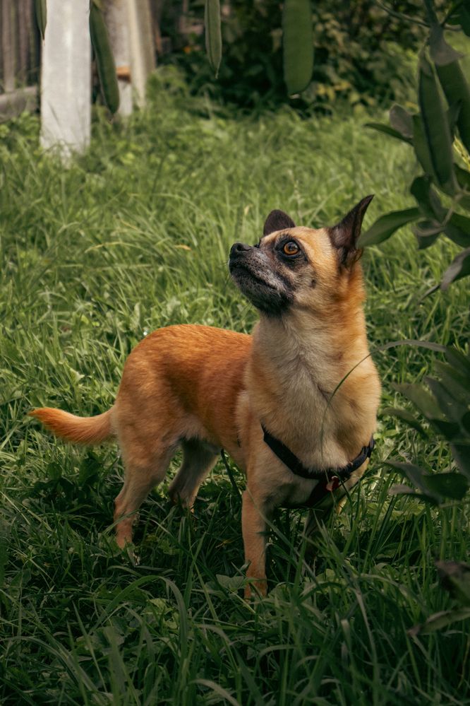 Photograph by Ирина Шилова