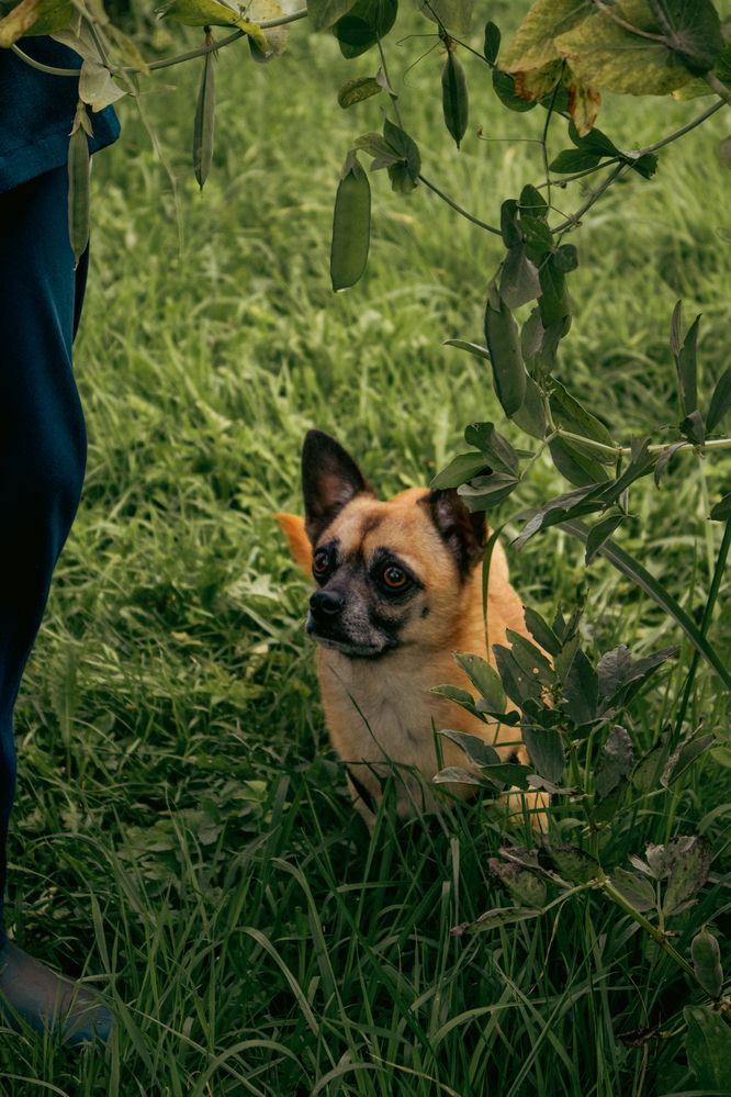 Photograph by Ирина Шилова