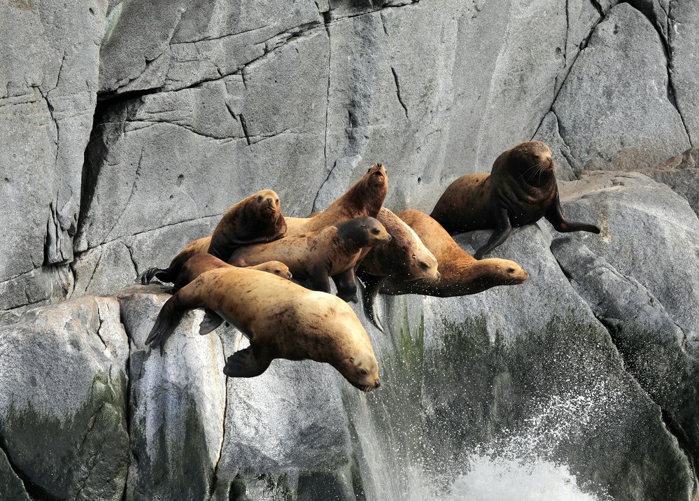 Photograph by Лариса Ким