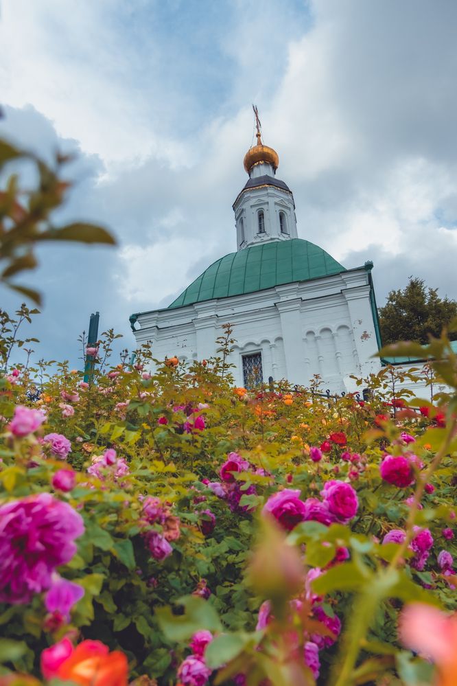 Photograph by Сергей Аникушин