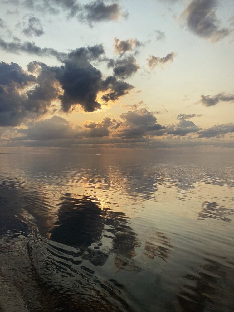 Photograph by Лидия Горностаева