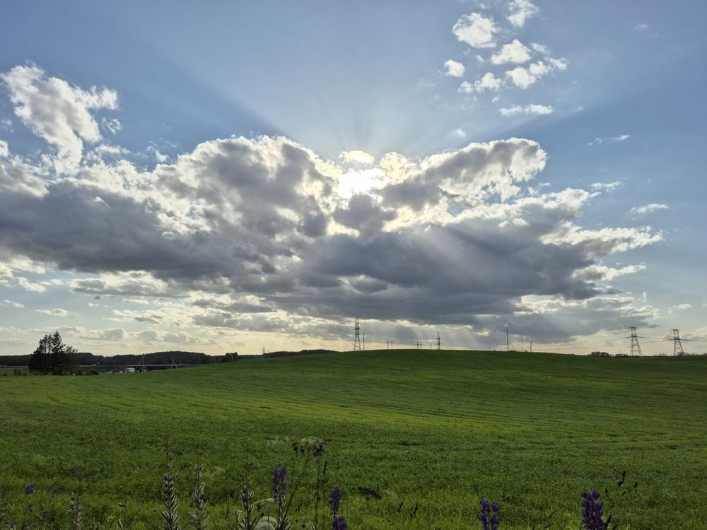 Photograph by Виктория Байкова