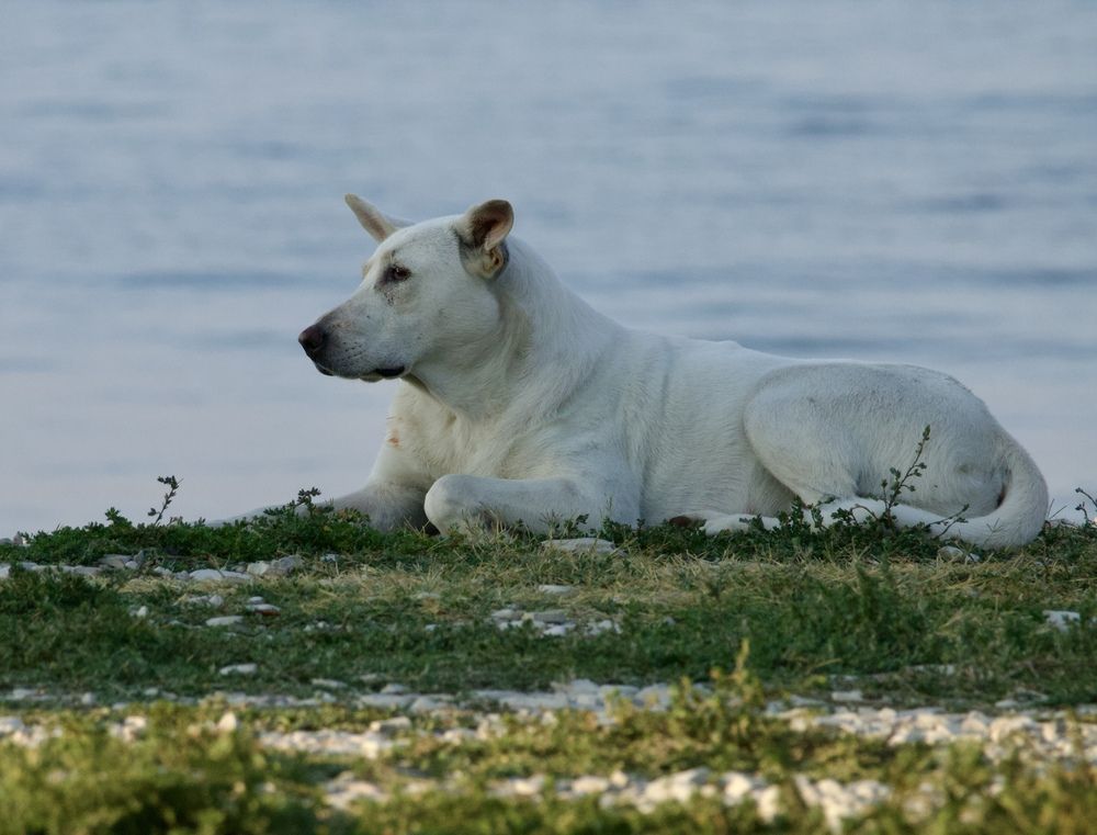 Photograph by Борис Захаров