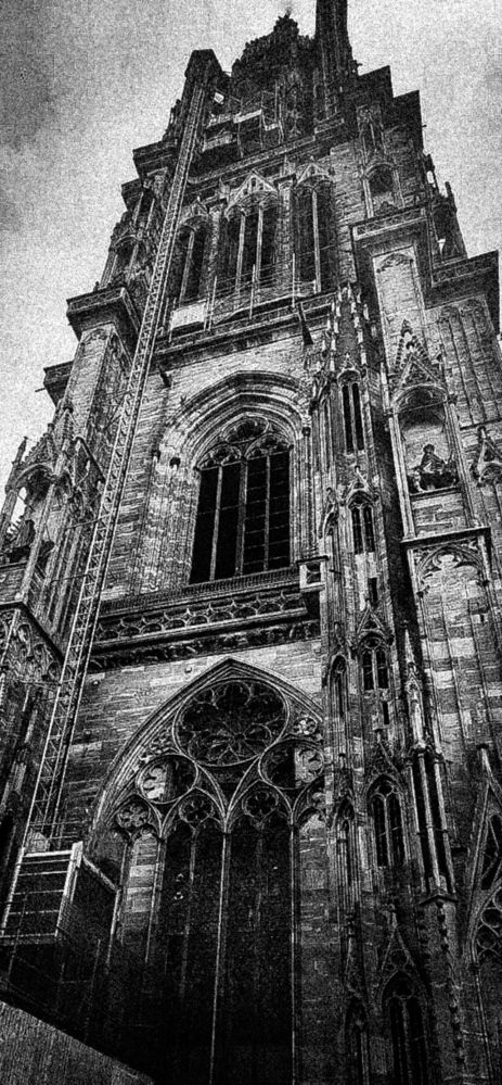 Photograph by Наталья Бородина