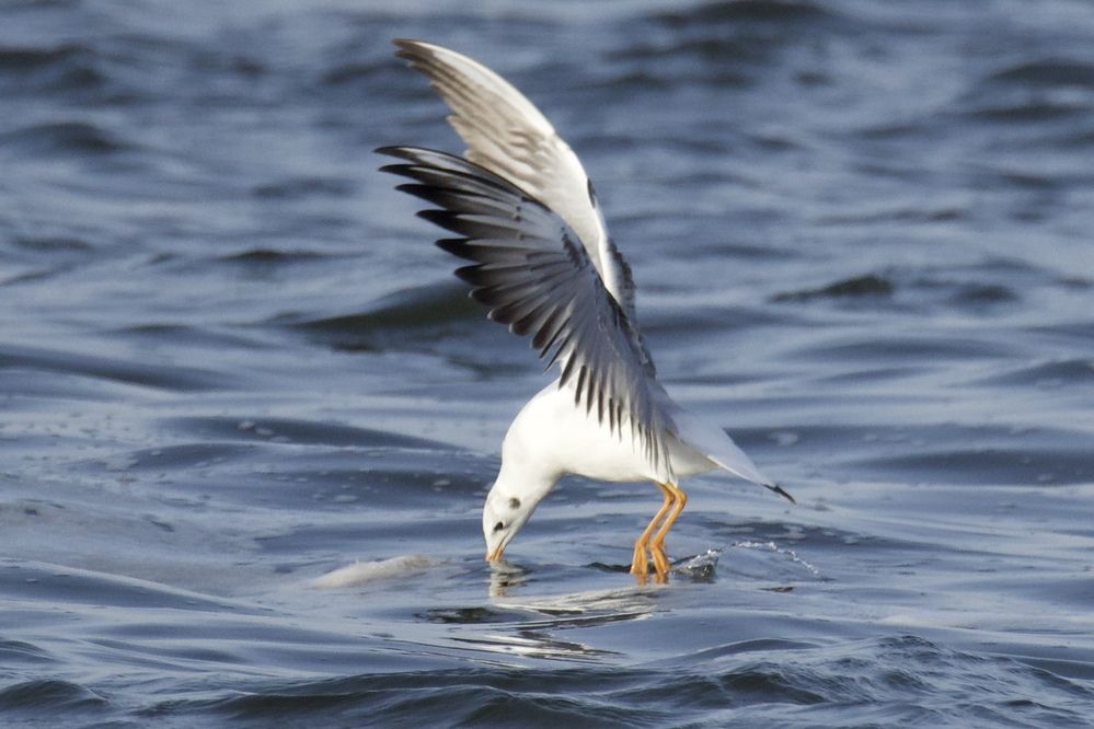 Photograph by Виктор Владимиров