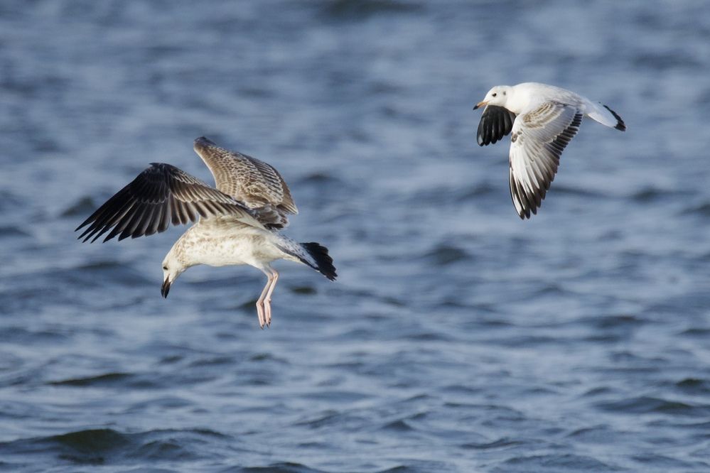 Photograph by Виктор Владимиров