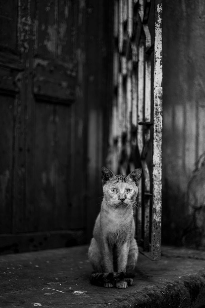 Photograph by Arkaprava Gangopadhyay
