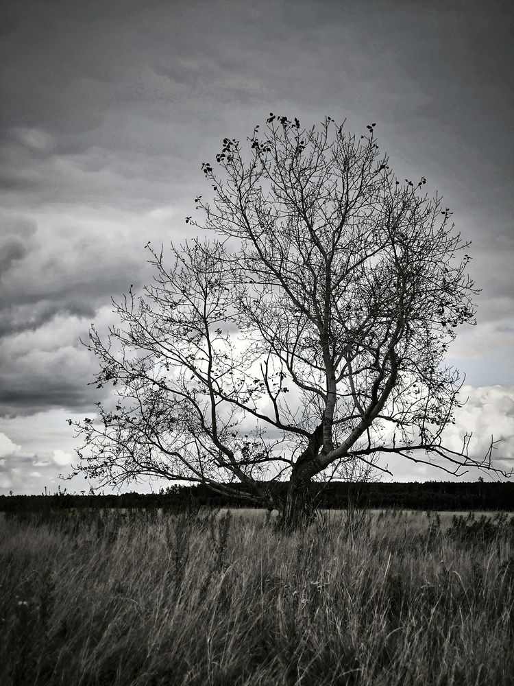 Photograph by Полина