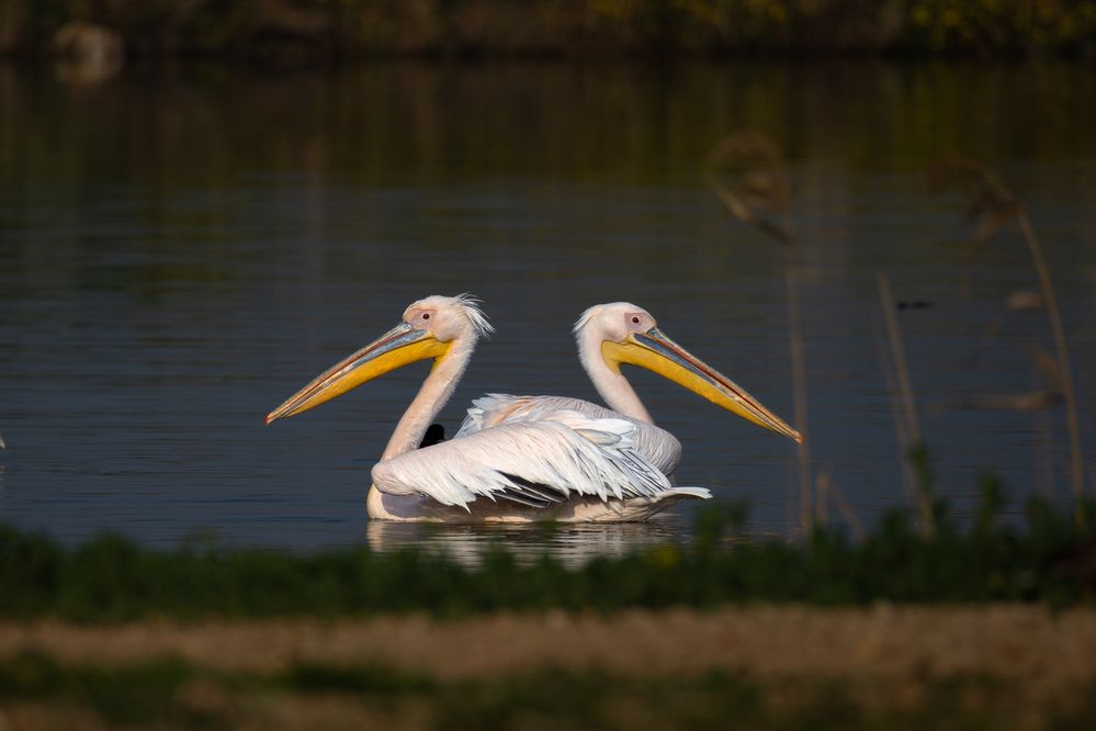 Photograph by Георгий