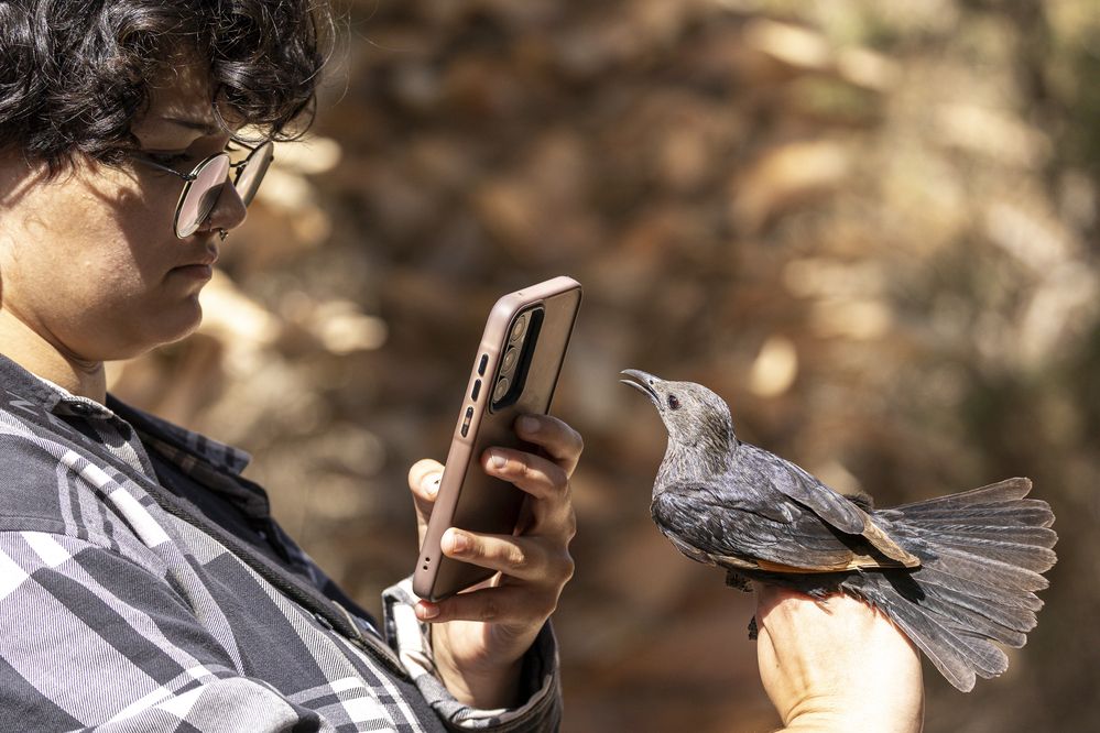 Photograph by Георгий