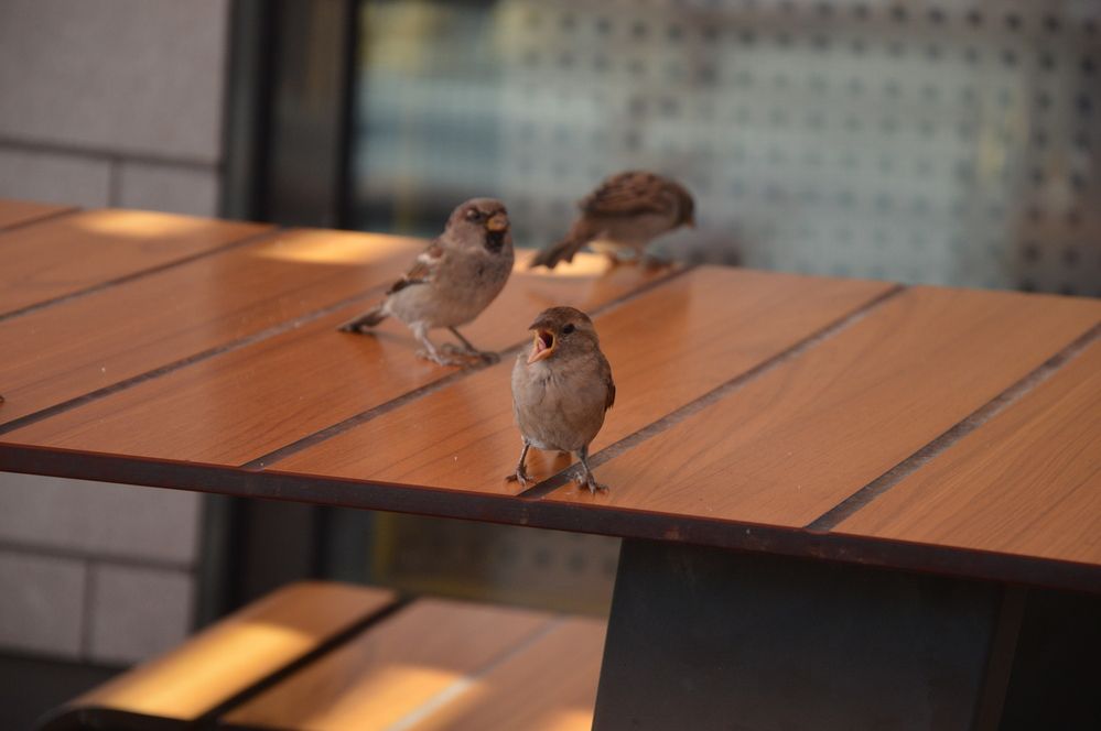 Фотография автора Мария