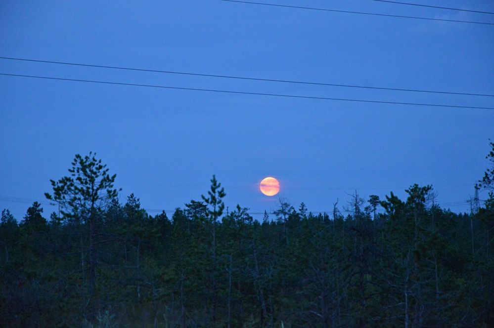 Photograph by Елена Савчук