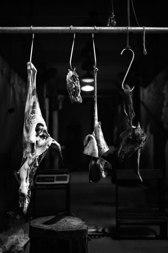 Photograph by Evgeniia Zorina