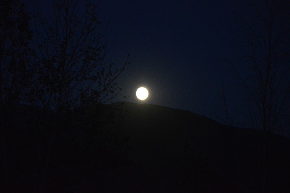 Photograph by Елена Савчук