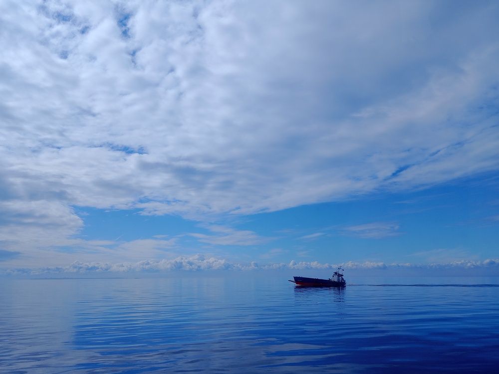 Photograph by Новиков Владимир