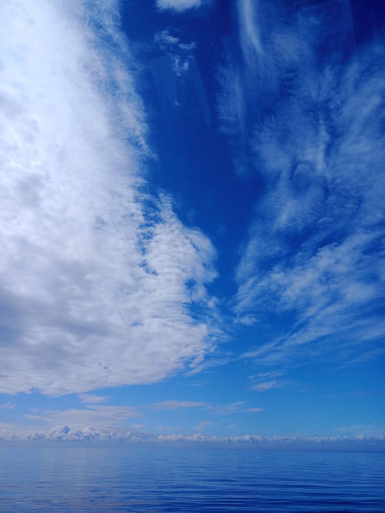 Photograph by Новиков Владимир