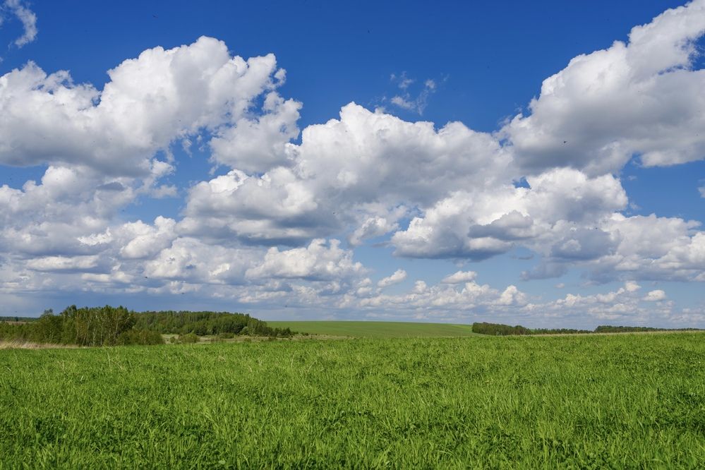 Фотография автора Viktoriya Kim