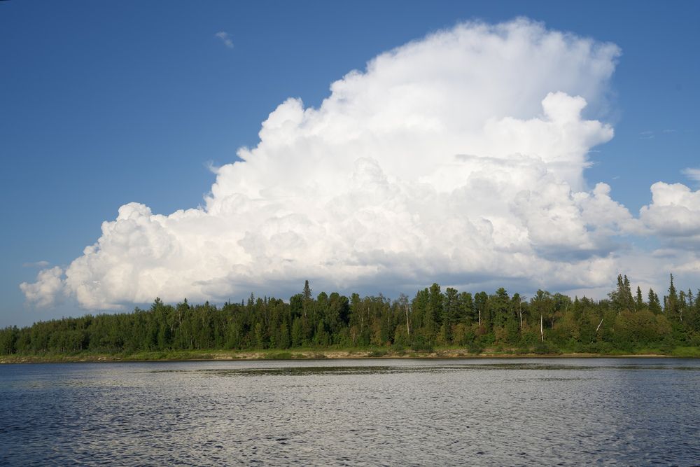 Фотография автора Viktoriya Kim