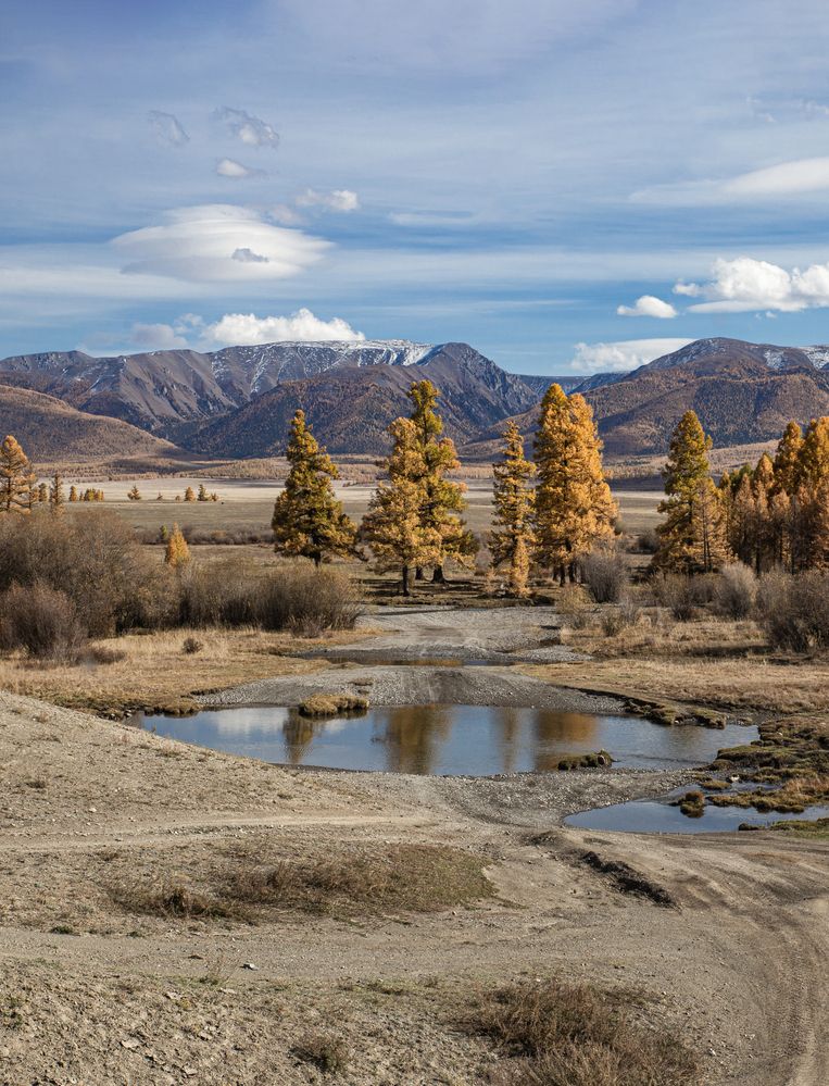 Photograph by Елена Павлова