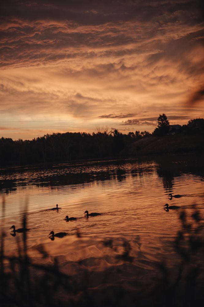 Photograph by Елена Карпова