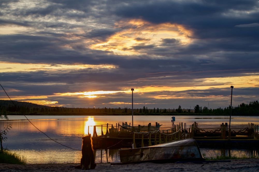 Фотография автора Viktoriya Kim