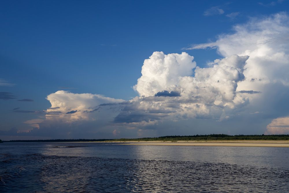 Фотография автора Viktoriya Kim