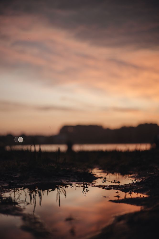 Photograph by Елена Карпова