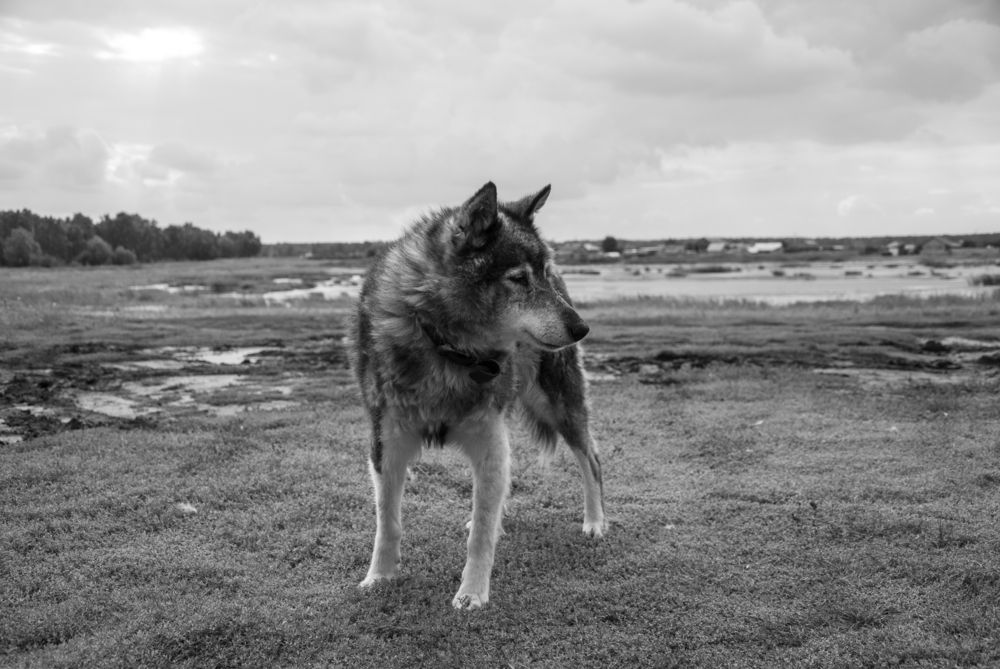 Фотография автора Крутяков Арсений