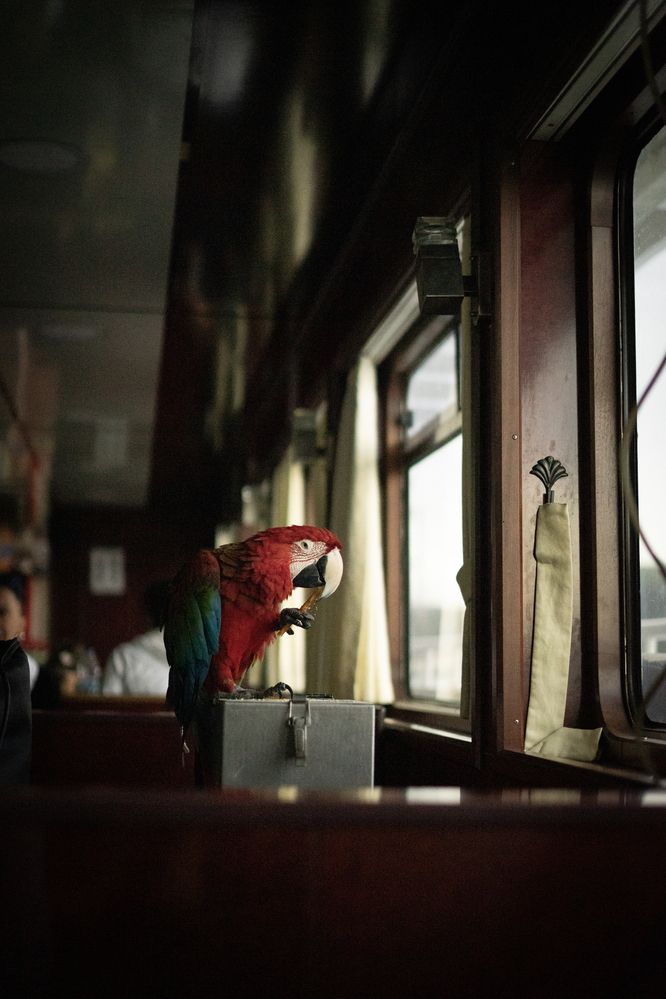 Photograph by Александра Пищало