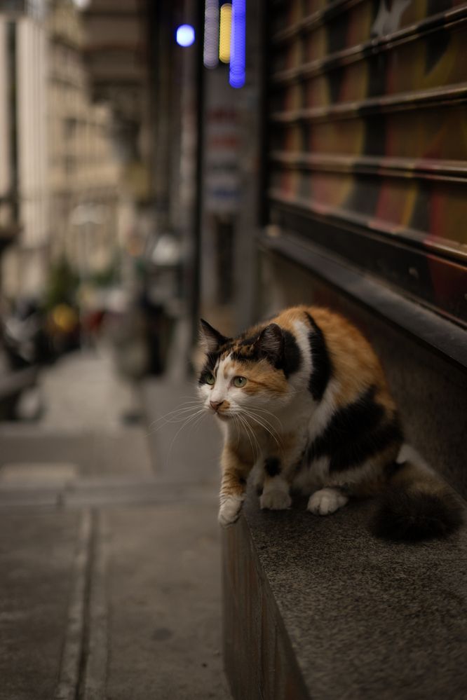 Photograph by Александра Пищало