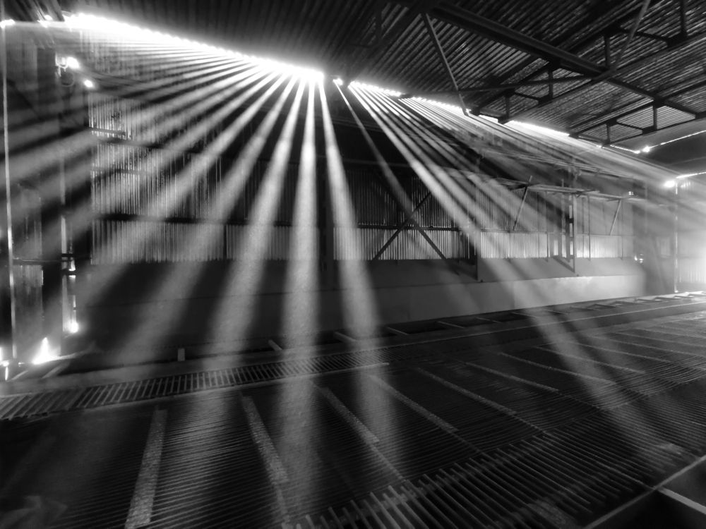 Фотография автора Андрей Шестаков