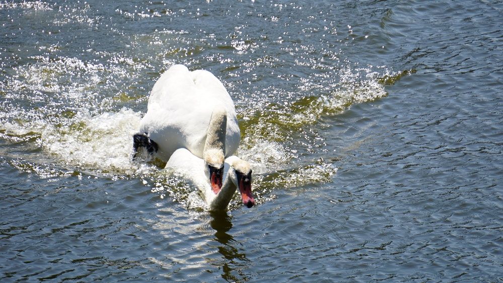 Photograph by Нина Паршина