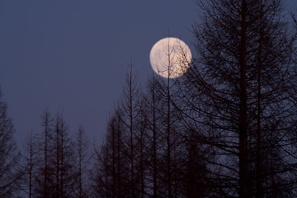 Фотография автора Viktoriya Kim