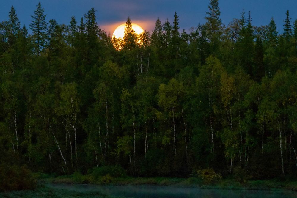 Фотография автора Viktoriya Kim