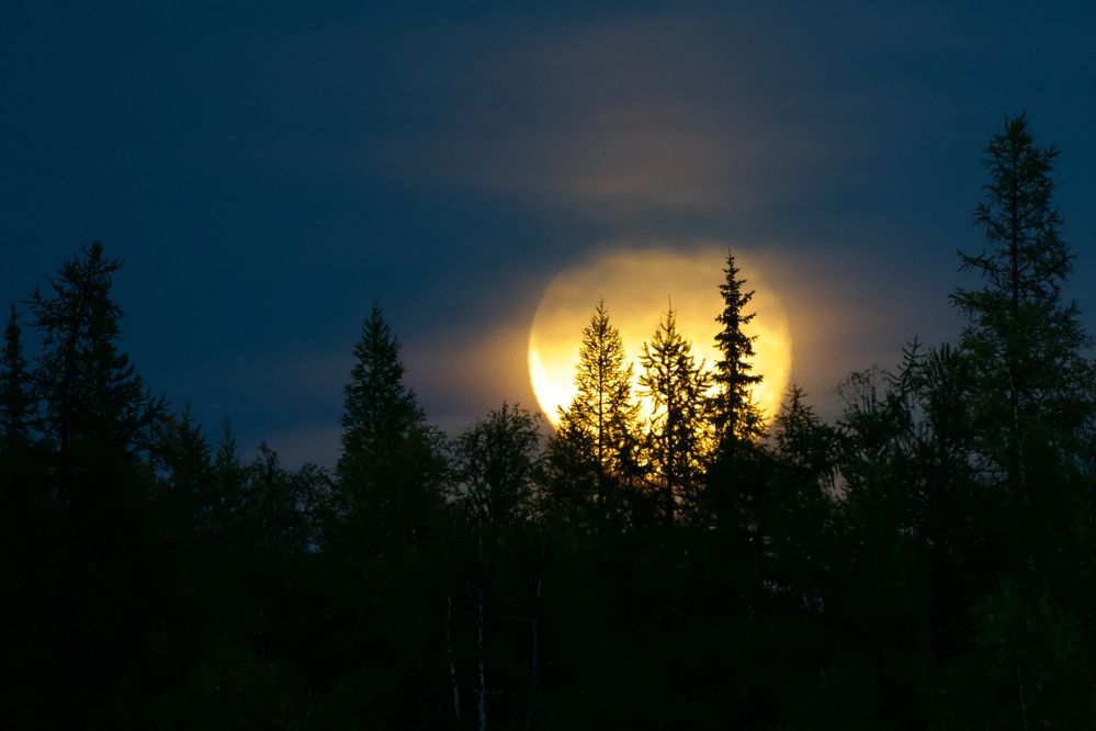 Photograph by Viktoriya Kim