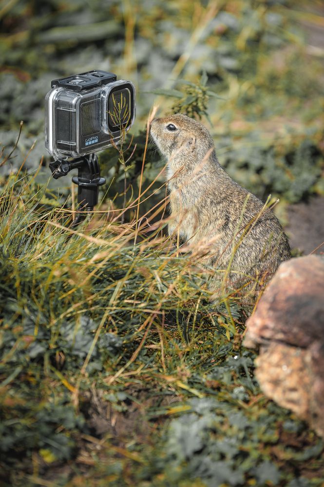 Photograph by Сергей Лексин